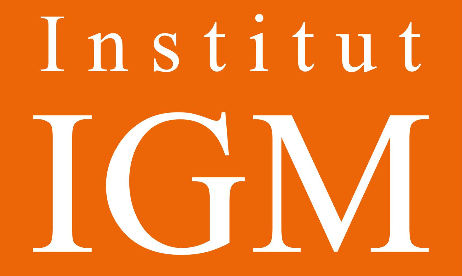 Institut für interkulturelles 
Gesundheitsmanagement e.V. 
Institut IGM